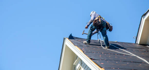 Best Roof Gutter Cleaning  in Ladson, SC